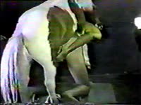 Horse porn with kinky babe